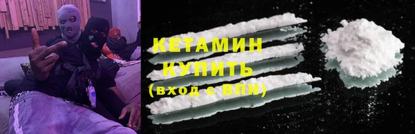 индика Новозыбков