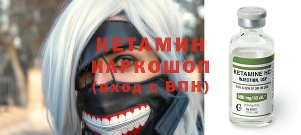 шишки Коряжма