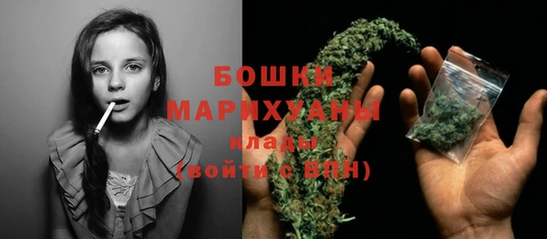 шишки Коряжма