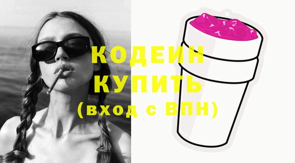 шишки Коряжма