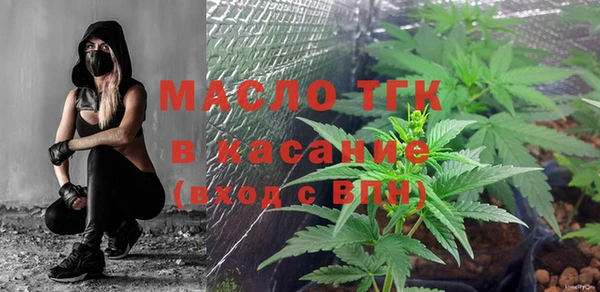 мдпв Богородск