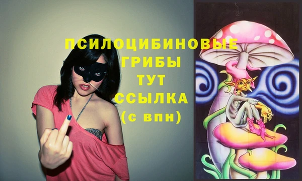 шишки Коряжма