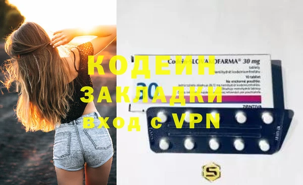шишки Коряжма