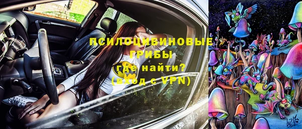 шишки Коряжма