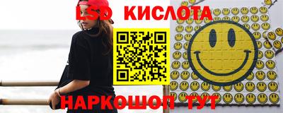 прущие грибы Апшеронск