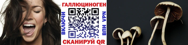 где купить наркотик Симферополь Галлюциногенные грибы мицелий