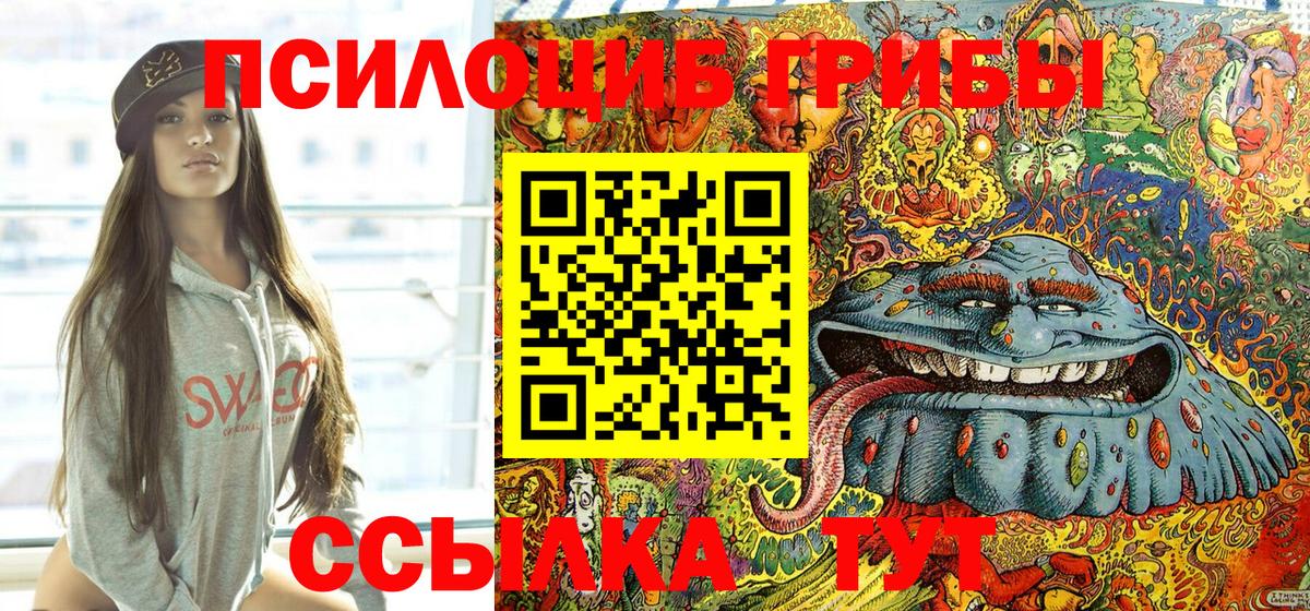 Псилоцибиновые грибы Cubensis  Симферополь 