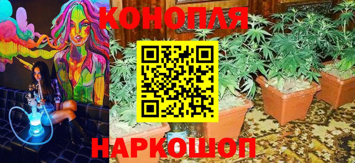 Шишки марихуана гибрид Симферополь